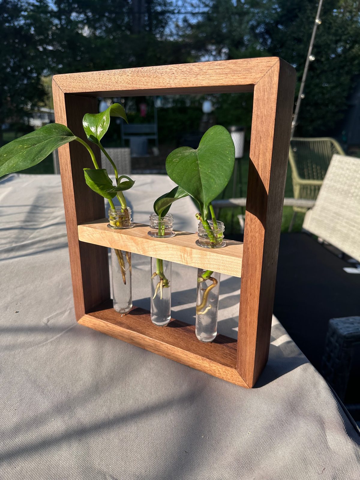 3-Vial Propagation Station (1 Available)
