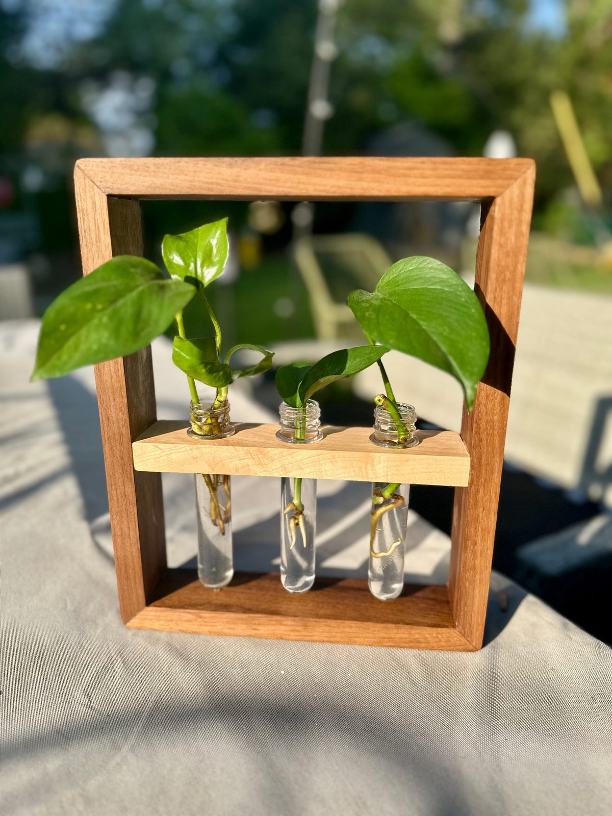 3-Vial Propagation Station (1 Available)