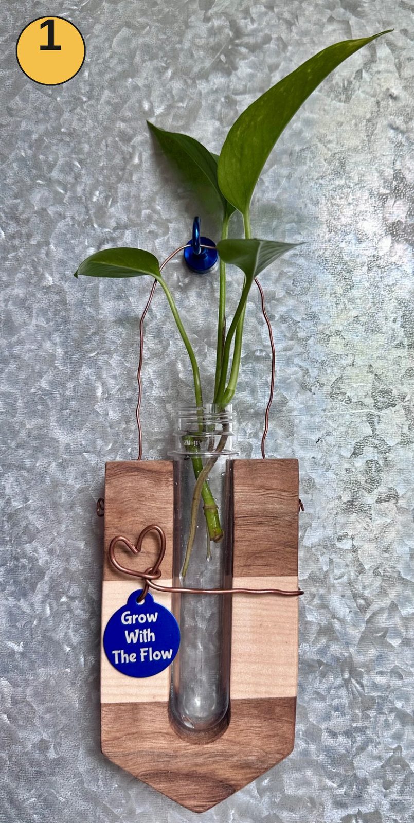 Hanging propagation station #1
