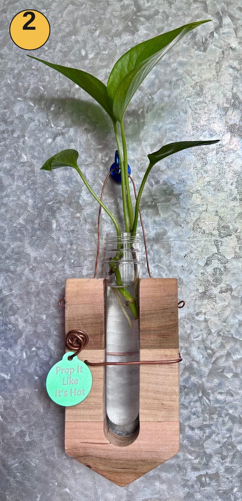 Hanging propagation station #2