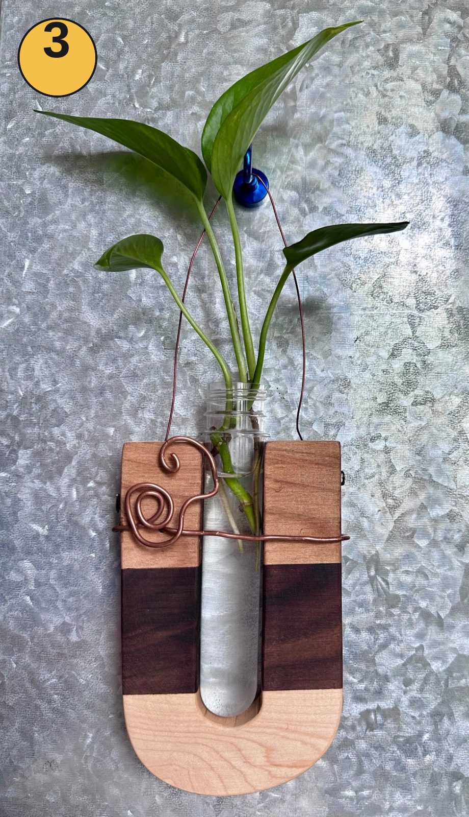 Hanging propagation station #3