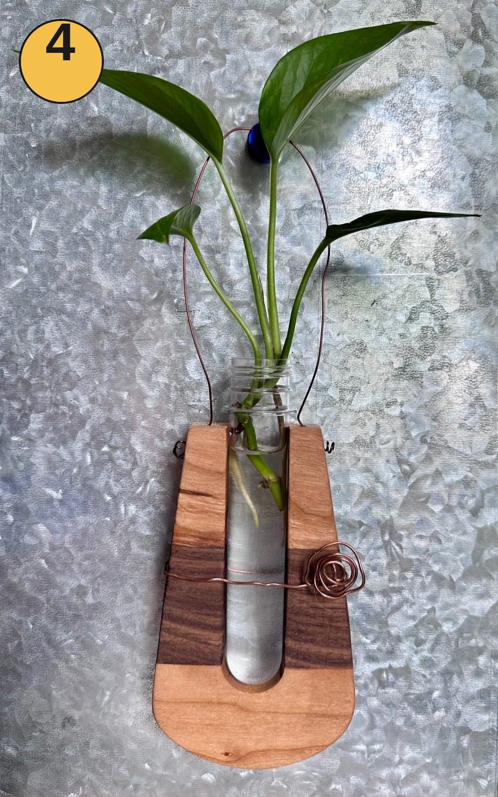 Hanging propagation station #4