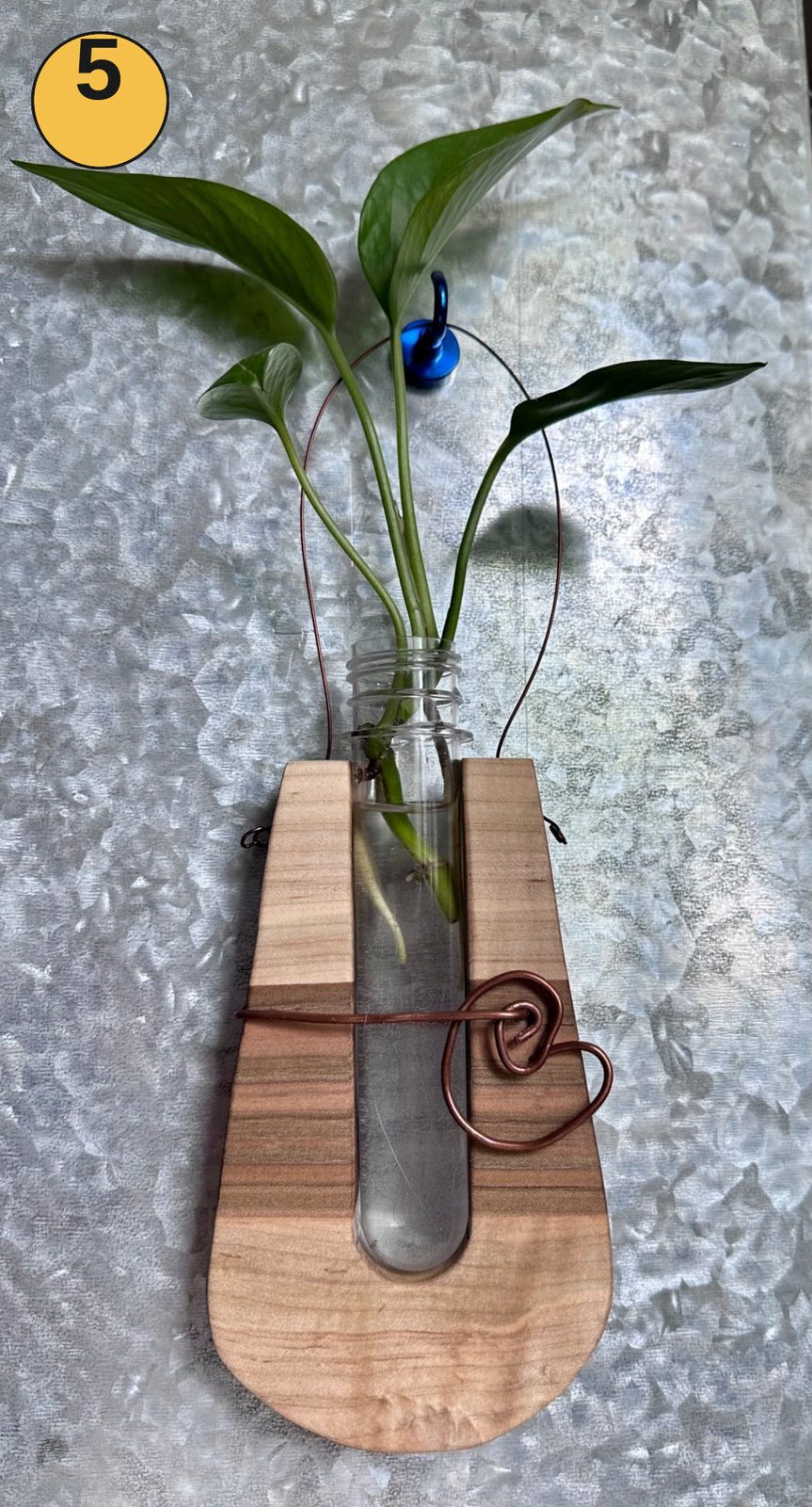 Hanging propagation station #5