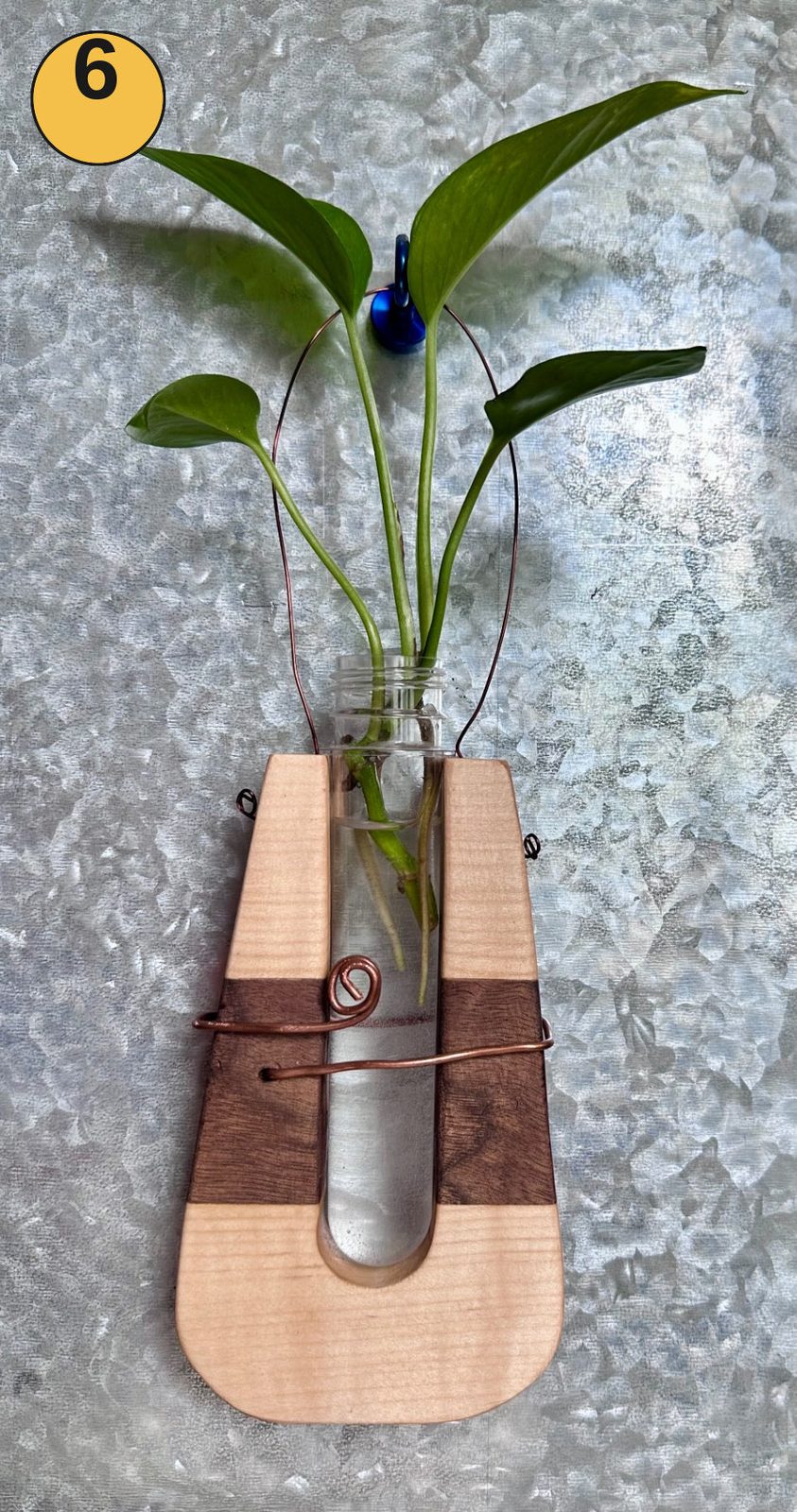 Hanging propagation station #6