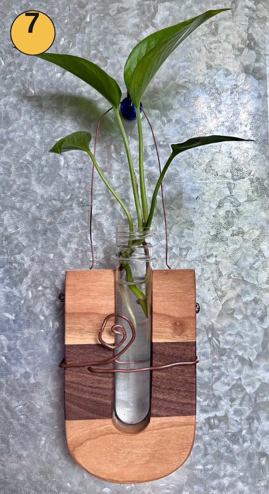 Hanging propagation station #7