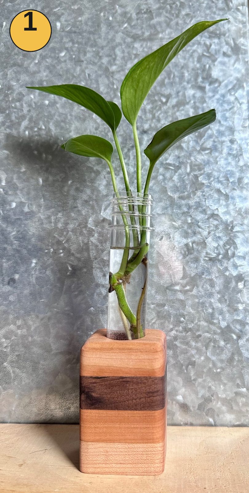 Tabletop propagation station #1