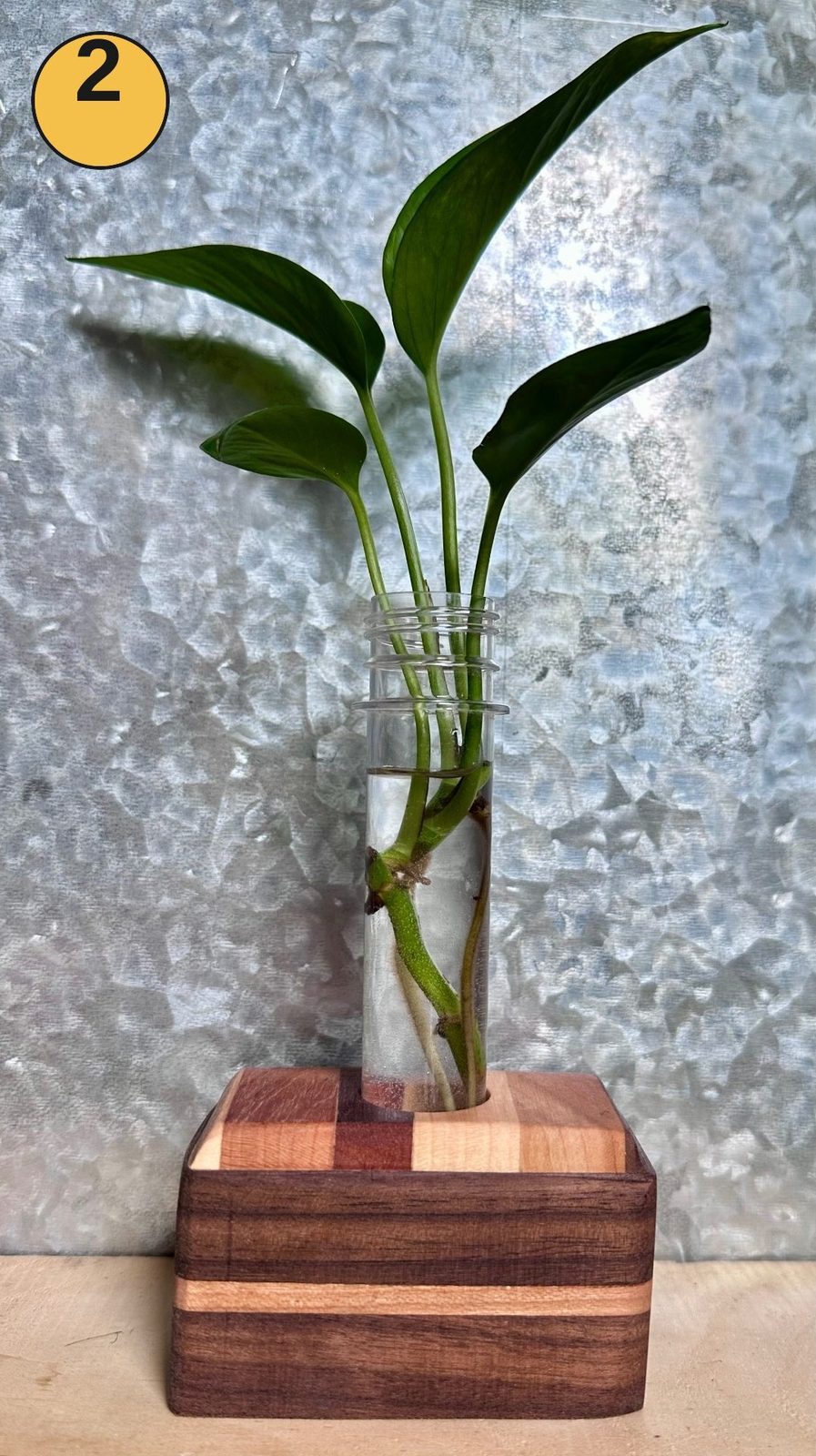 Tabletop propagation station #2