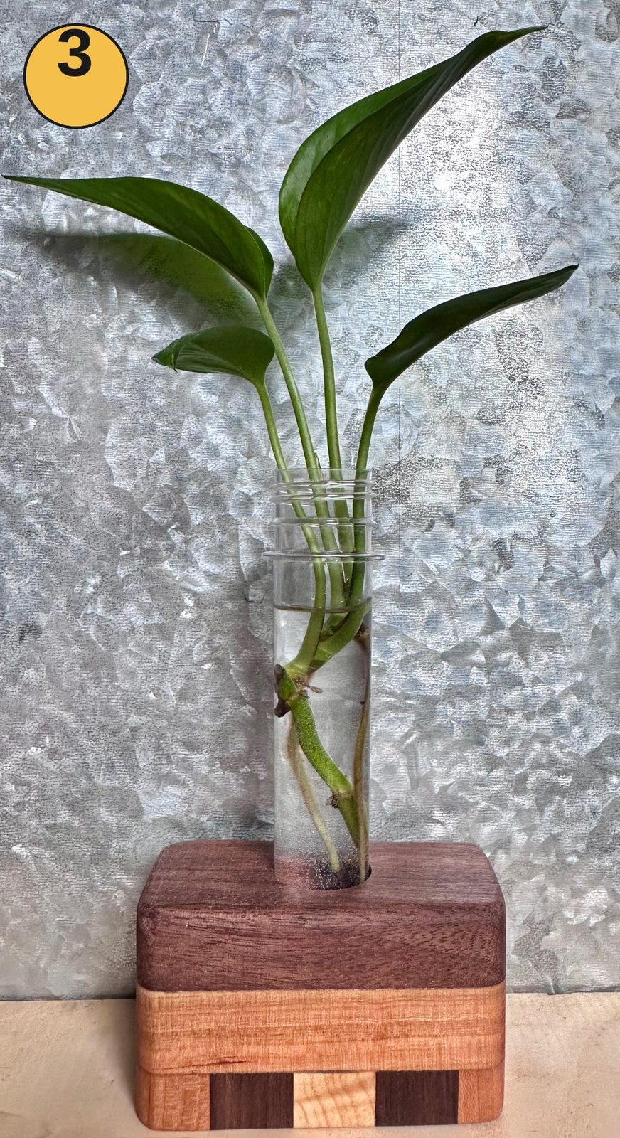 Tabletop propagation station #3