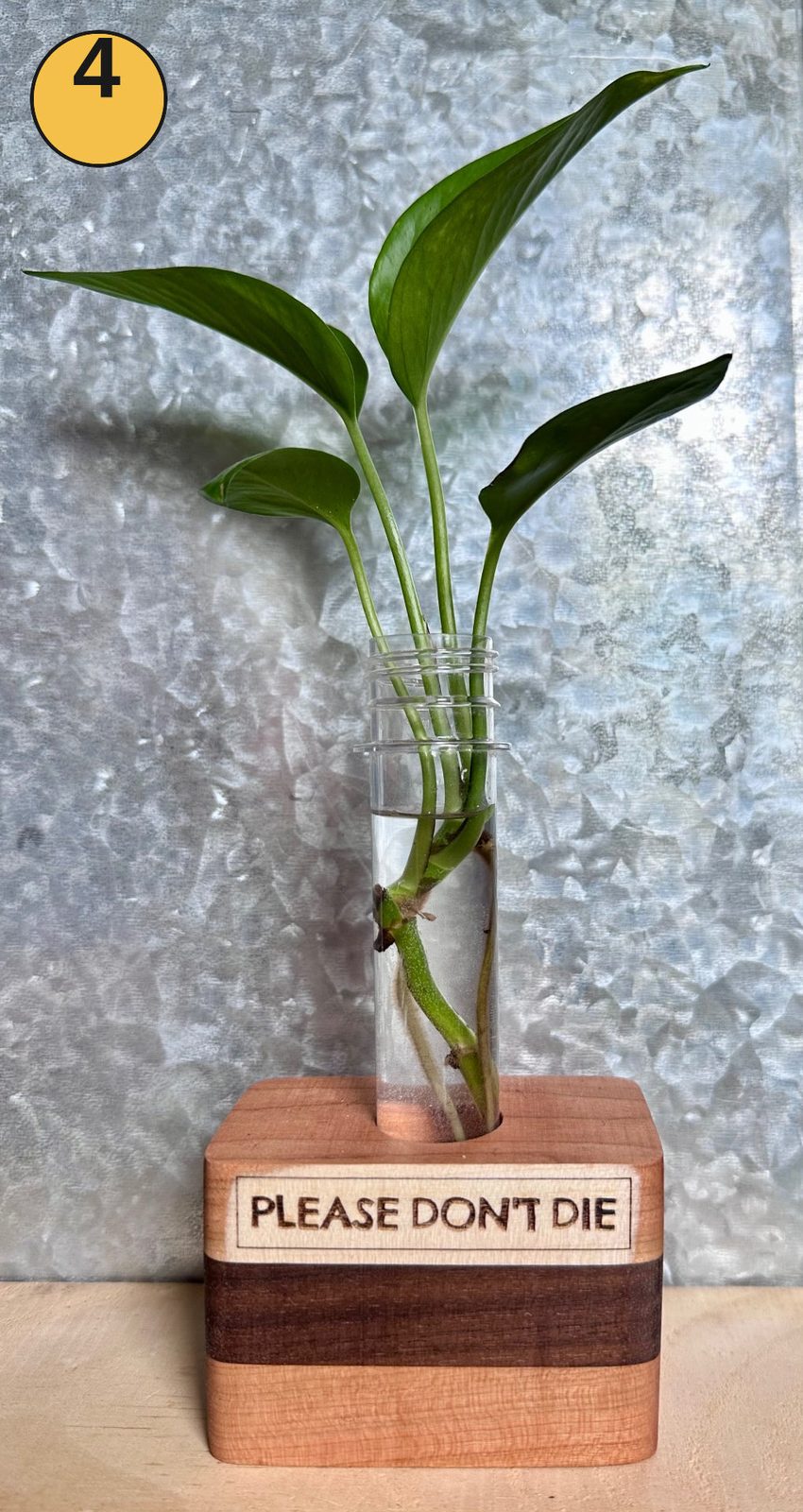 Tabletop propagation station #4
