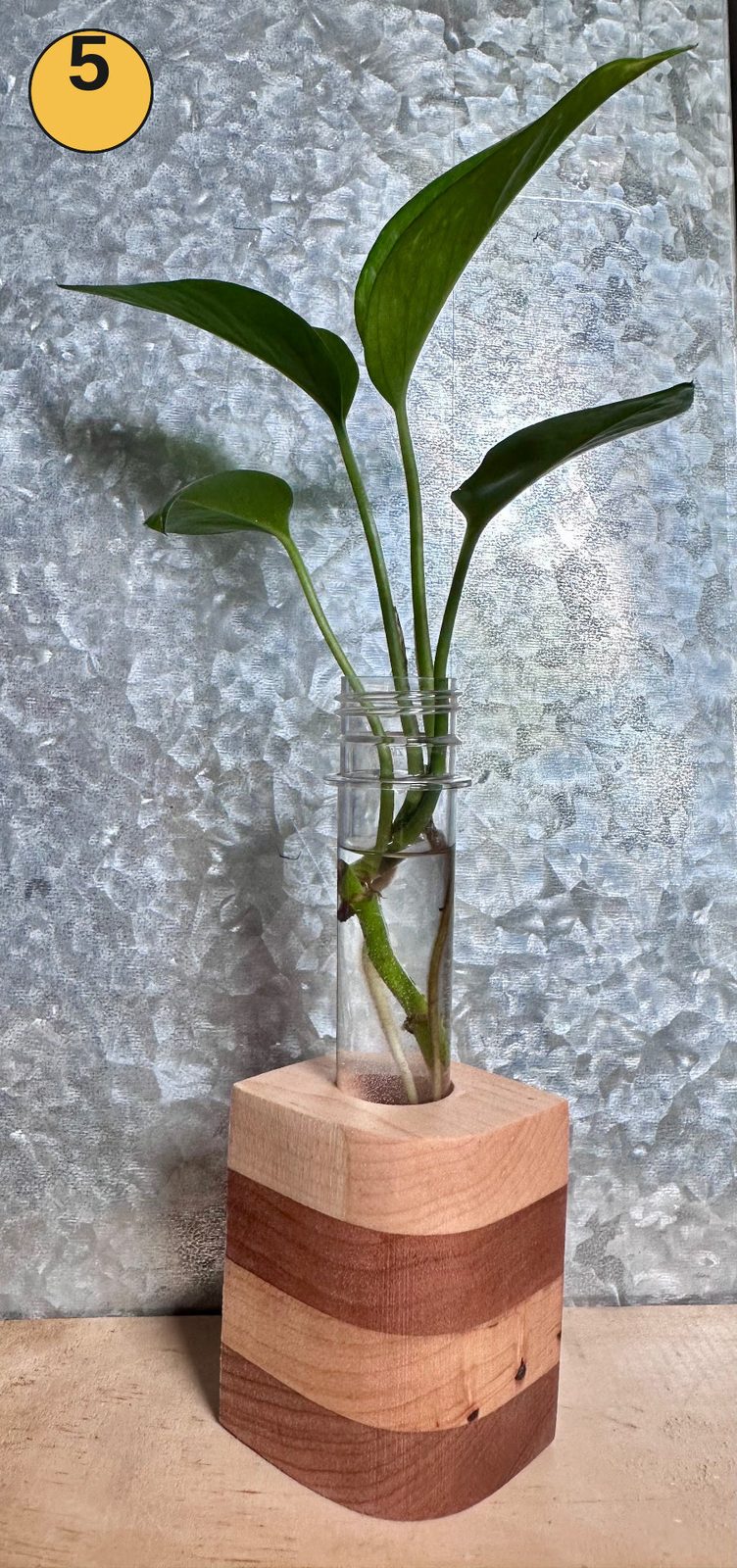 Tabletop propagation station #5